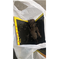 胶州车间杀蟑螂杀鼠杀虫服务找谁