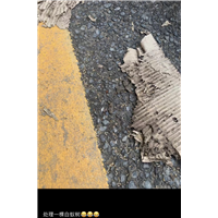 胶州餐厅灭鼠灭虫灭白蚁上门服务电话多少