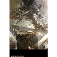 胶州招待所灭白蚁灭蟑螂灭鼠哪个队伍好
