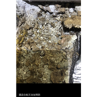 胶州餐厅杀鼠上门服务电话