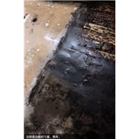 胶州医院杀蟑螂杀鼠杀虫公司哪里有