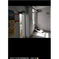 胶州美容院杀蟑螂杀鼠杀虫公司哪家服务好