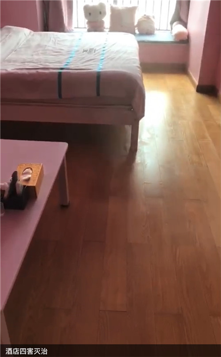 胶州超市杀鼠杀虫杀白蚁电话是多少