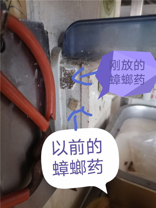 胶州旅馆灭虫队伍电话是多少