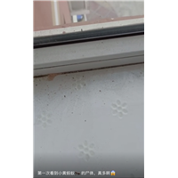 胶州餐馆灭鼠灭虫灭白蚁公司哪家服务好