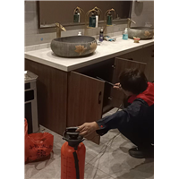 胶州超市杀白蚁哪个队伍好