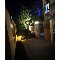 胶州宾馆杀虫服务咨询电话多少