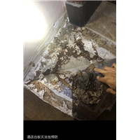 胶州奶茶店杀鼠杀虫杀白蚁电话是多少