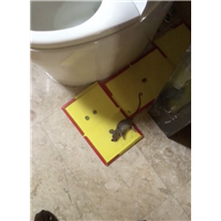 胶州理发店灭蟑螂服务电话多少