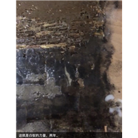 胶州疗养院灭白蚁电话是多少