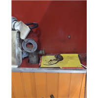 胶州酒店除四害上门服务电话