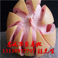 红心蜜柚苗价格多少？急求红心蜜柚苗 