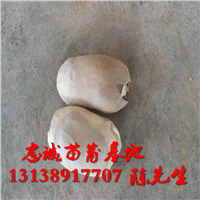 芒果种子