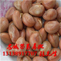 菠萝蜜种子