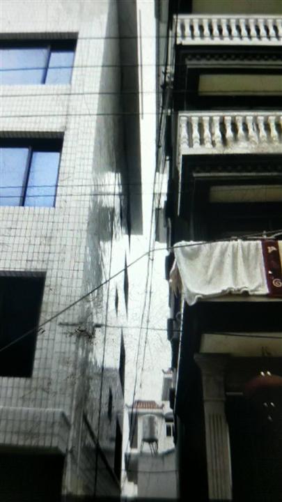 温州地基打桩