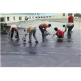 ┃贵阳专业屋面防水补漏┃贵阳屋面防水┃贵阳**屋面防水┃ 