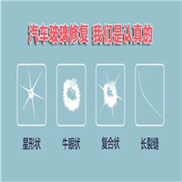 濮阳汽车玻璃修复—15565819055张师傅 