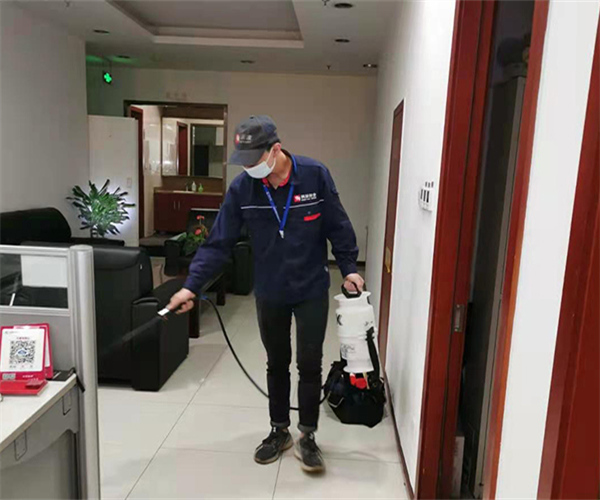 金华灭老鼠电话