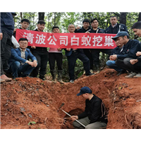 金华灭白蚁灭蟑螂公司