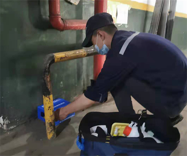 金华灭鼠公司哪家好