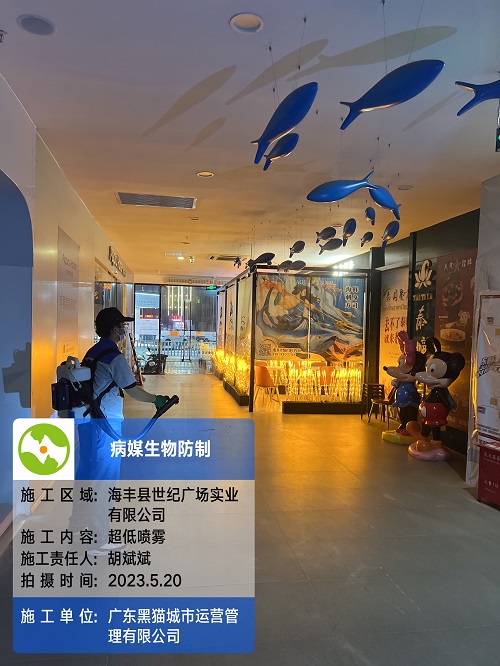 商业案例3
