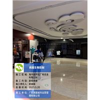 商业案例2