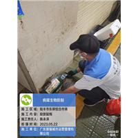 农贸市场案例6