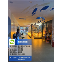 商业案例3