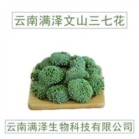 云南满泽三七花，三七花的功效与作用 