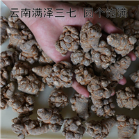云南30头三七和60头三七的区别及图片 