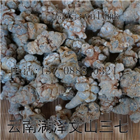 文山三七官网，文山三七网 
