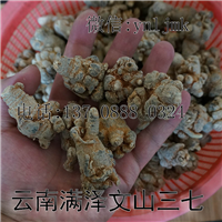 云南三七的功效，云南三七的作用 