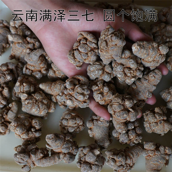 云南30头三七和60头三七的区别及图片 