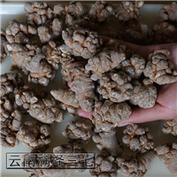 云南三七专卖店，中药三七图片，三七粉价格多少钱一斤 