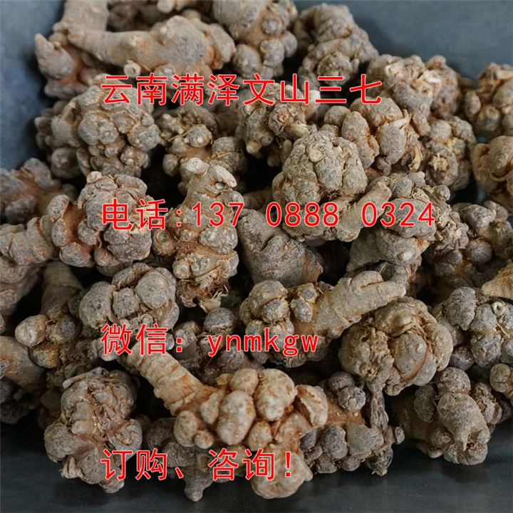 云南文山三七20头**价格 