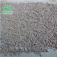 云南文山三七批发，云南文山三七**价格 