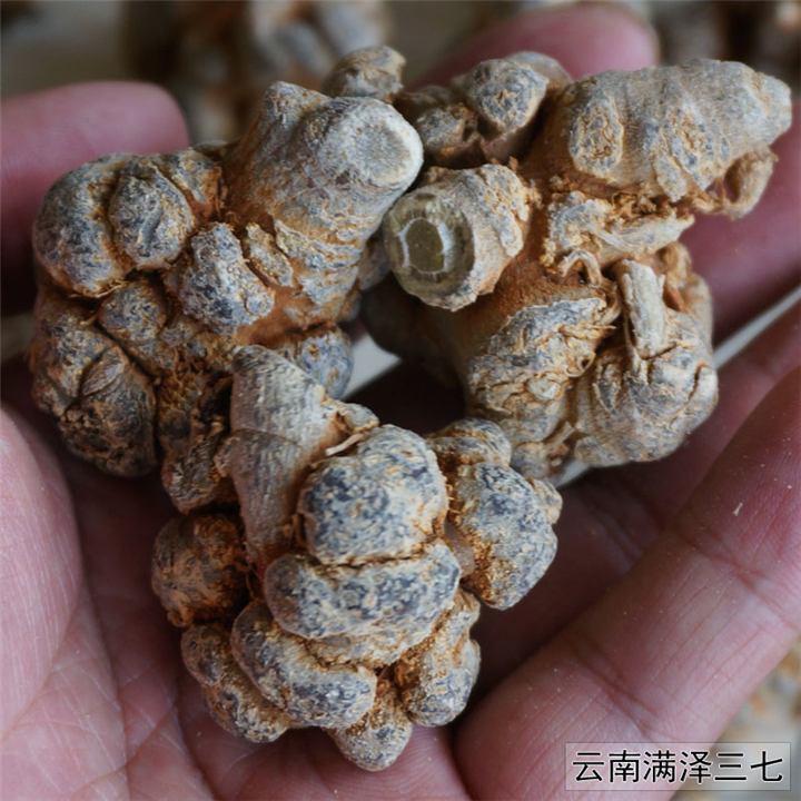 云南文山20头三七价格多少钱一斤 