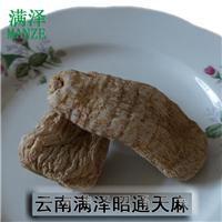 云南昭通天麻产地，云南昭通天麻批发 