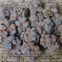 云南文山三七官网，文山三七网，三七图片 