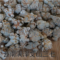 云南特产文山三七，文山特产三七，三七批发 