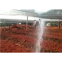 红河州造林队┆红河州工程造林