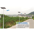 太阳能路灯 