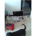 唐山金隅乐府甲醛检测除甲醛 