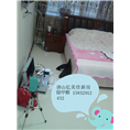 唐山除甲醛