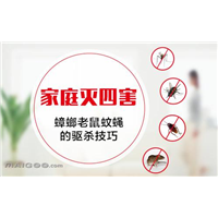 大连杀虫@大连灭蟑螂@大连灭蚊蝇@ 