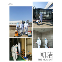 大连除虫公司 
