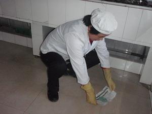大连灭蚊蝇 