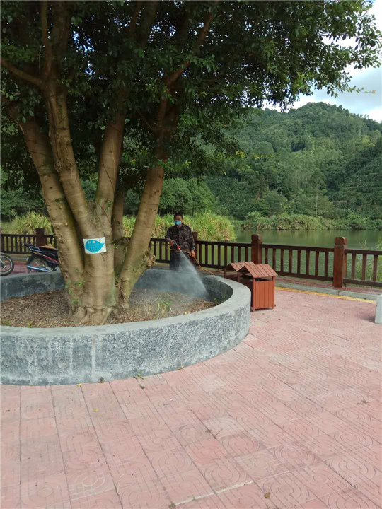 大连臭虫药 