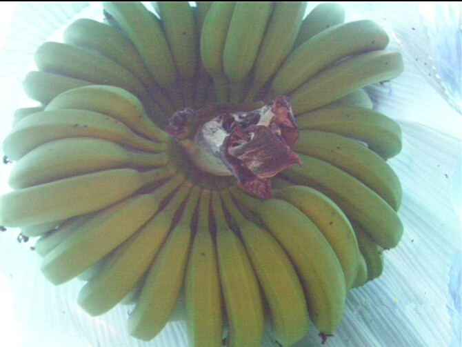博罗出售粉蕉、博罗粉蕉价格、惠州粉蕉批发 