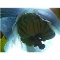 博罗香蕉园-博罗香蕉-惠州香蕉-惠州香蕉价格 